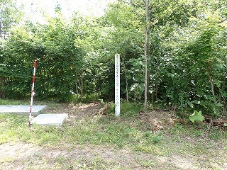 R0806180004
