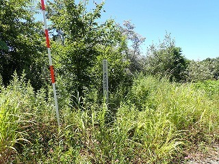 R0808050002