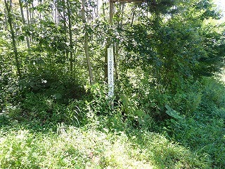 R0808050003
