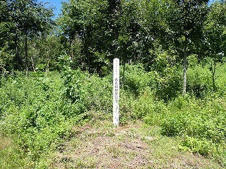 R0808050009