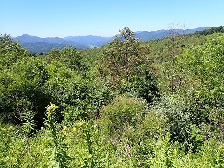 R0808050011