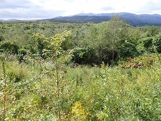 R0809290001