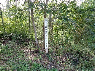 R0809290003