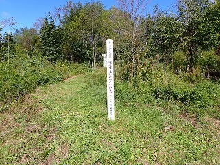 R08092900008