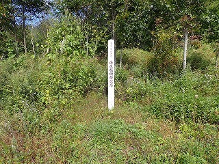 R08092900009