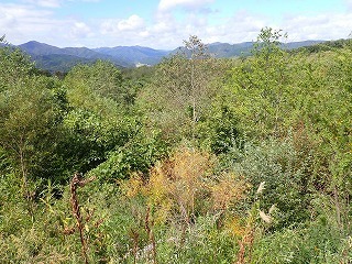 R0809290011