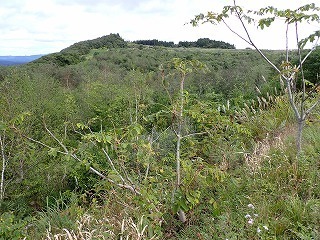 R0809290012