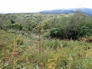 R0810070001