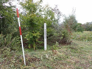 R0810070002