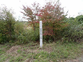 R0810070005
