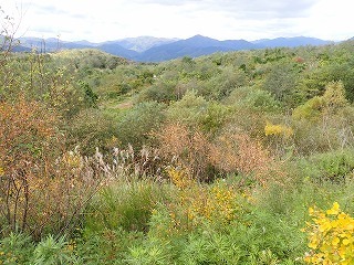 R08100700006