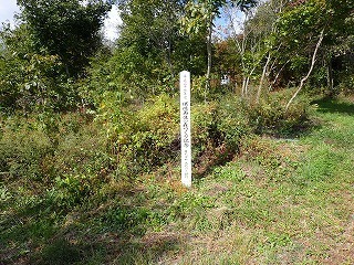 R08100700007