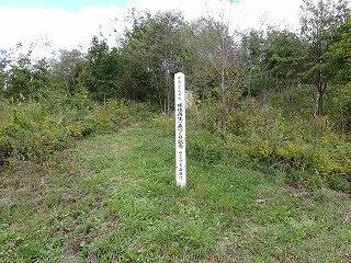 R08100700008