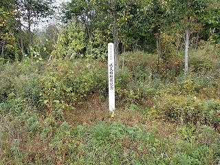 R08100700009
