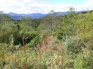 R0810070011