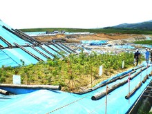 試験地の様子（平成24年6月撮影）