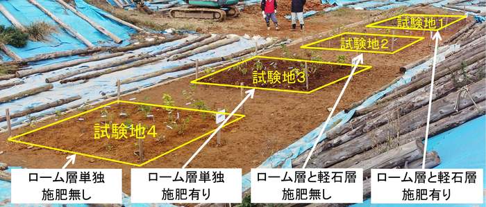 土質の違い、施肥の有無による植栽