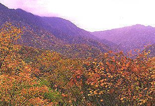 写真：一ツ森・笹内川から秋の白神岳方面を望む