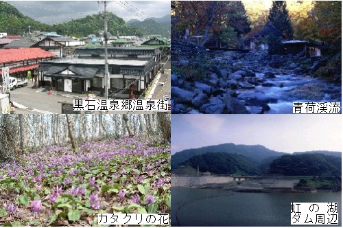 黒石温泉郷温泉街、青荷渓流、カタクリの花、虹の湖ダム周辺