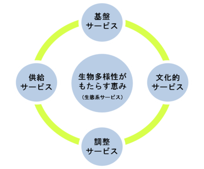 図１