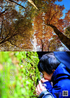 2025oirase_Flyer_1-1