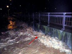 図4熊原川浸水状況（H25.9月） 三戸町関根川原地区