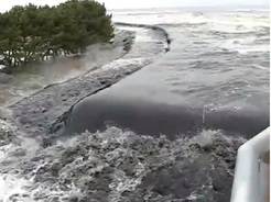 波浪による侵食状況