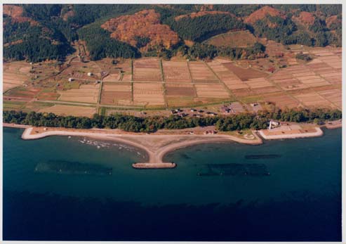 石崎海岸全景