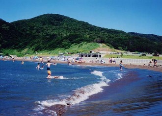 海岸利用状況（海水浴）