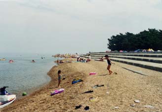 海岸利用状況