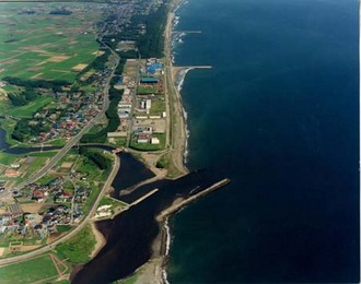 横道海岸全景