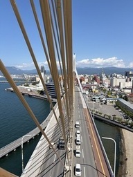 作業高さでの景色