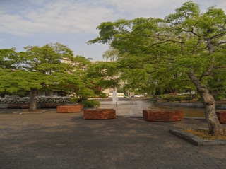 青い森公園＿憩いの広場