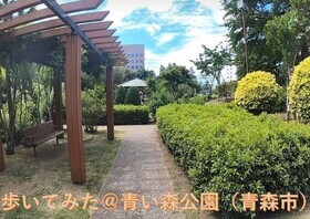 青い森公園