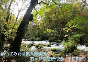 奥入瀬渓流