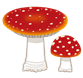 きのこ
