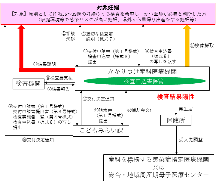 検査体制の流れ1