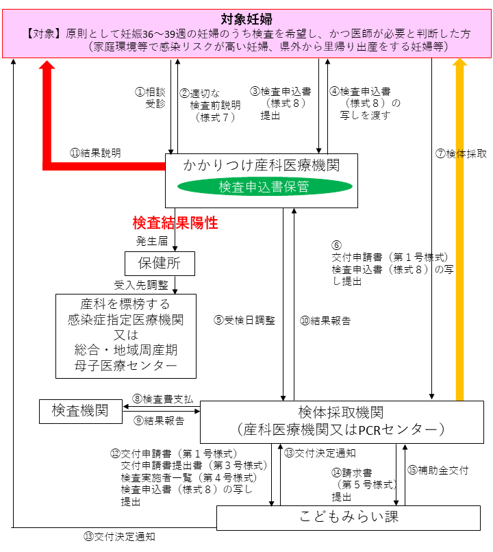 検査体制の流れ2