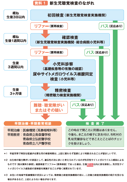 新生児聴覚検査のながれ説明図