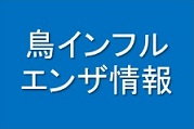 鳥インフルエンザ情報