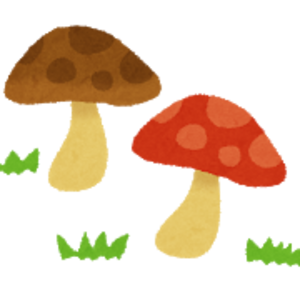 20210728