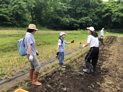 R6 shimizu-ninnniku 2