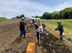 R6 shimizu-ninnniku 3