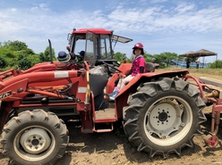 R6 shimizu-ninnniku 4