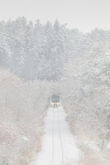 吉田(秋)