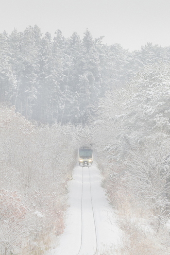 吉田（秋）