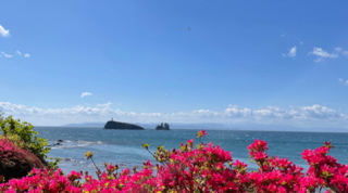 鯛島(牛の首農村公園)