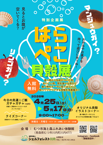 はらぺこ貝殻展チラシ画像