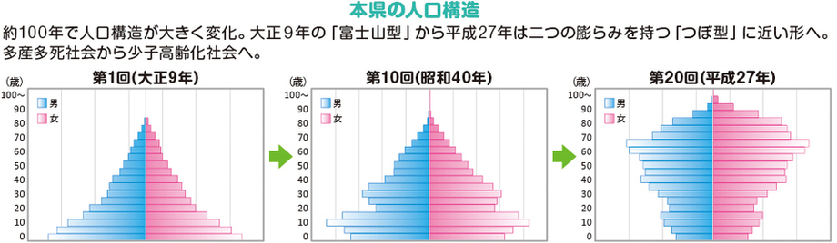 本県の人口構造