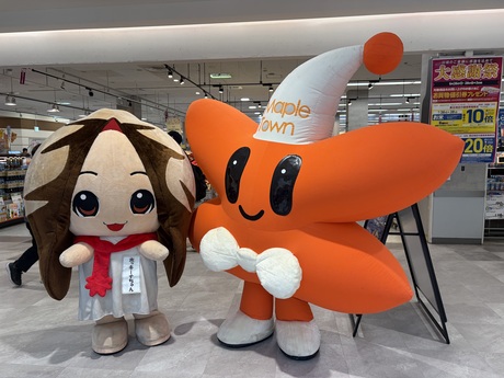 実施の様子